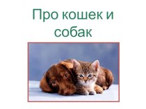 Про кошек и собак план-конспект урока по окружающему миру (2 класс) по теме