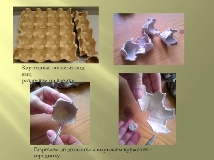 Картонные лотки из-под яиц разделяем на ячейки.Разрезаем до донышка и вырываем кружочек – серединку.