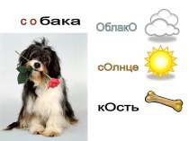 Словарные слова (животные) презентация по русскому языку по теме