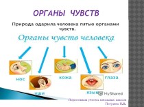 Презентация Органы чувств презентация к уроку по окружающему миру (3 класс)