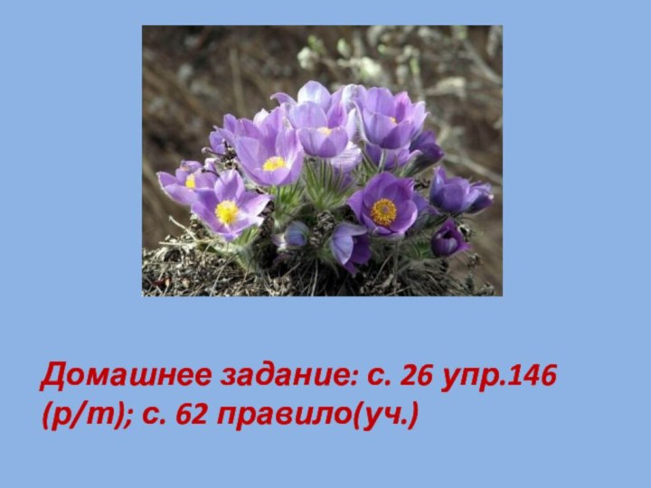 Домашнее задание: с. 26 упр.146 (р/т); с. 62 правило(уч.)