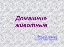 Презентация Домашние животные презентация к занятию по окружающему миру (младшая группа) Презентация Домашние животные 