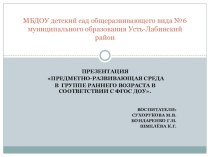 Презентация РППС группы раннего возраста в соответствии с ФГОС. презентация к уроку (младшая группа)