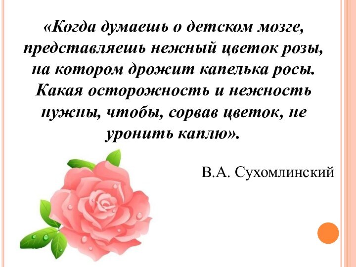 «Когда думаешь о детском мозге, представляешь нежный цветок розы, на котором дрожит