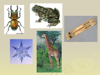 Урок в 1 классе Знакомство с буквой Ж план-конспект урока по чтению (1 класс) по теме