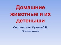 Конспект занятия  Животные и их детеныши презентация к уроку по окружающему миру (1 класс)