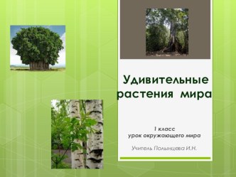 Урок окружающего мира в 1 классе Удивительные растения мира план-конспект урока по окружающему миру (1 класс)