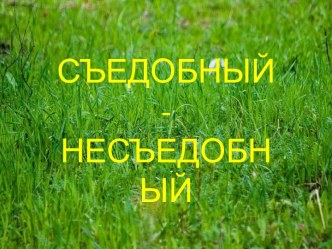 Игра Один-много презентация к уроку по окружающему миру по теме