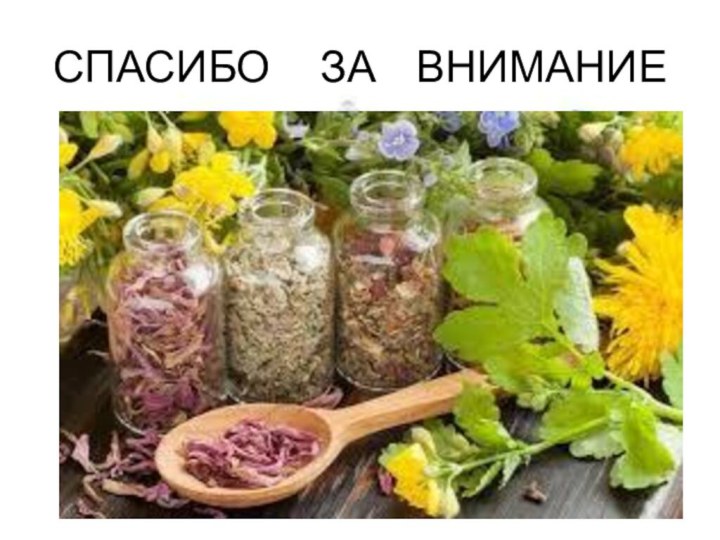 СПАСИБО   ЗА  ВНИМАНИЕ