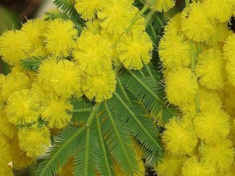 Презентация к уроку литературного чтения в 3 классе Творческая мастерская. Весна идет! Весне дорогу! презентация к уроку (чтение, 3 класс) по теме