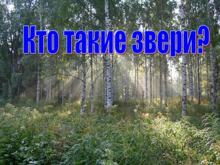 Кто такие звери?