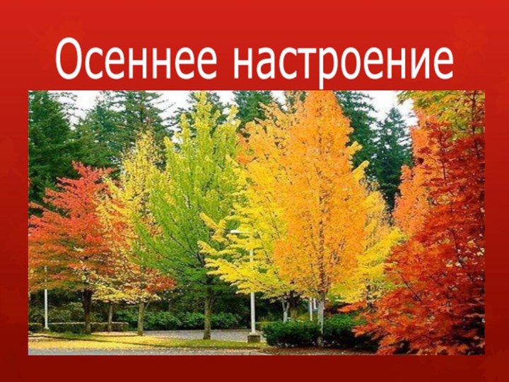 Осеннее настроение