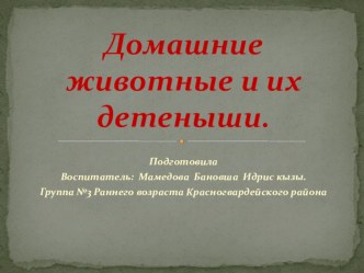 Домашние животные и их детёныши. презентация по окружающему миру