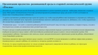 Предметно – развивающая среда в старшей логопедической группе Пчелка (Часть 1) презентация к уроку (старшая группа)