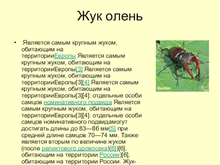 Жук олень Является самым крупным жуком, обитающим на территорииЕвропы Является самым крупным жуком, обитающим