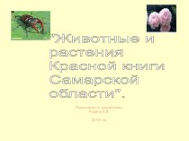 Презентация для детей старшей группы презентация к занятию по окружающему миру (старшая группа) по теме