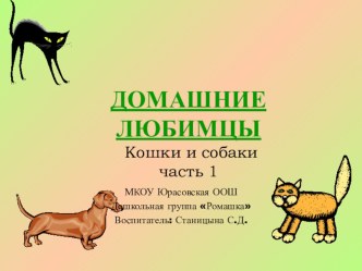 ДОМАШНИЕ ЛЮБИМЦЫ презентация к уроку по окружающему миру (подготовительная группа)