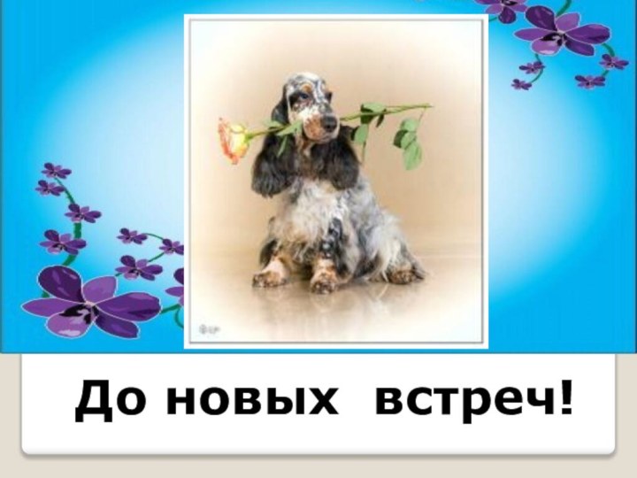 До новых встреч!