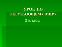 Будь природе другом! презентация к уроку по окружающему миру (2 класс)