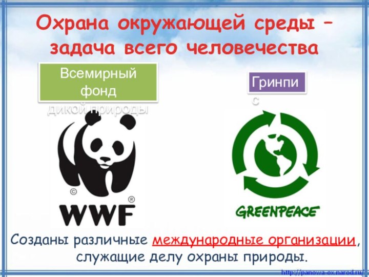 Созданы различные международные организации, служащие делу охраны природы.Охрана окружающей среды – задача