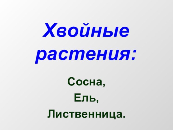 Хвойные растения:Сосна,Ель,Лиственница.