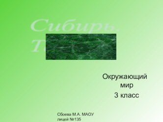 Презентация к уроку. Природные условия Сибири. Тайга. презентация к уроку по окружающему миру (3 класс) по теме