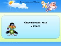 Урок окружающего мира во 2 классе Птицы - лесные жители по программе Начальная школа 21 век план-конспект урока по окружающему миру (2 класс)