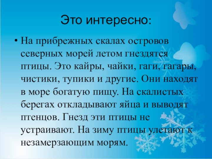 Это интересно:На прибрежных скалах островов северных морей летом гнездятся птицы. Это кайры,