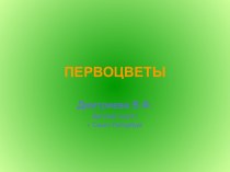 Презентация Первоцветы презентация к занятию по окружающему миру (старшая группа) по теме