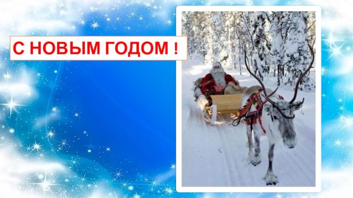 С НОВЫМ ГОДОМ !