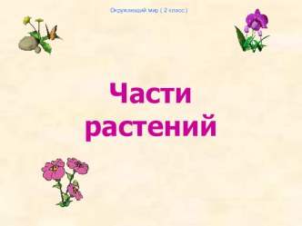 Презентация Части растений презентация к уроку по окружающему миру (1,2 класс)