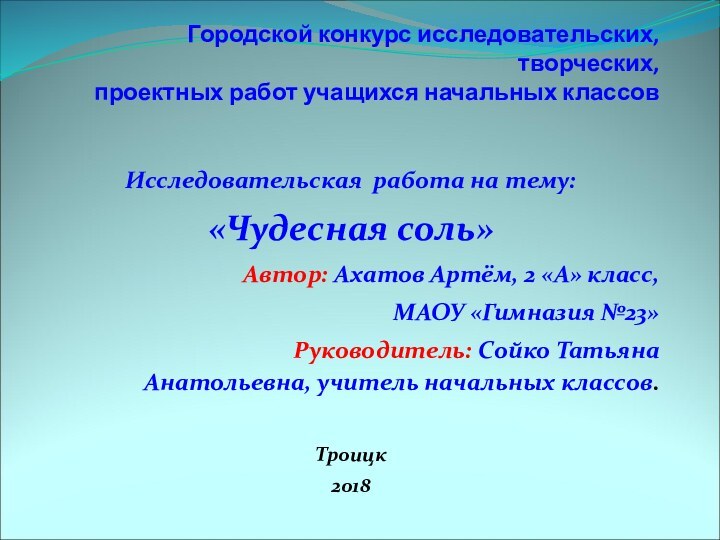 Городской конкурс исследовательских, творческих,    проектных работ учащихся начальных классовИсследовательская