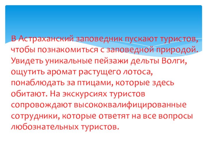 В Астраханский заповедник пускают туристов,      чтобы познакомиться