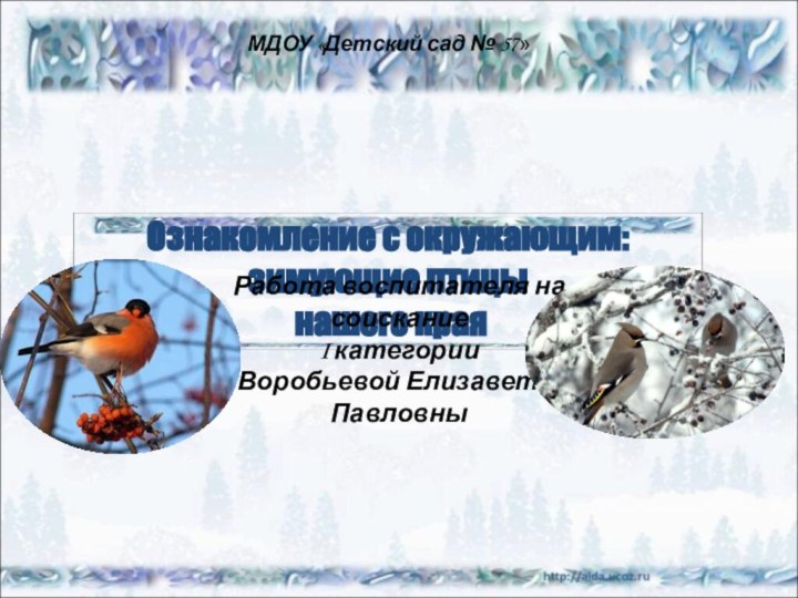 МДОУ «Детский сад № 57»Ознакомление с окружающим:  зимующие птицы  нашего