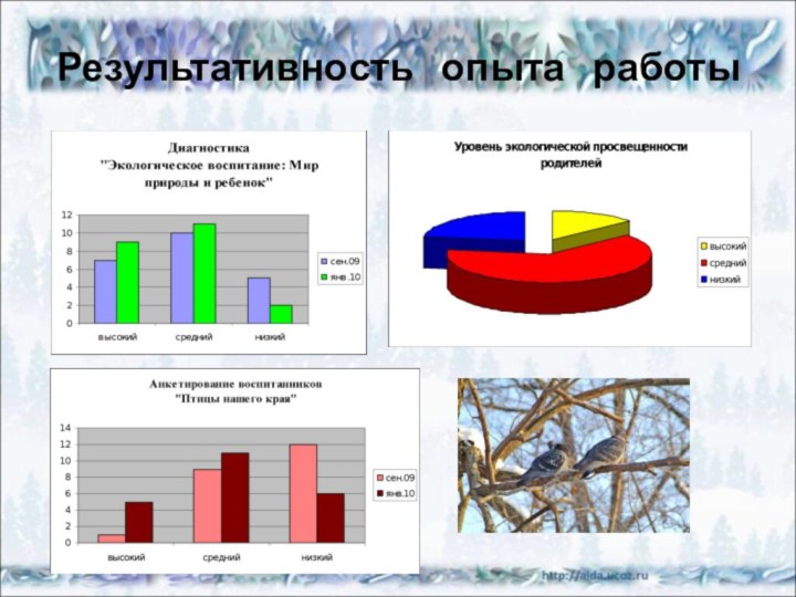 Результативность  опыта  работы