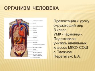 Игра Организм человека презентация к уроку по окружающему миру (3 класс) по теме