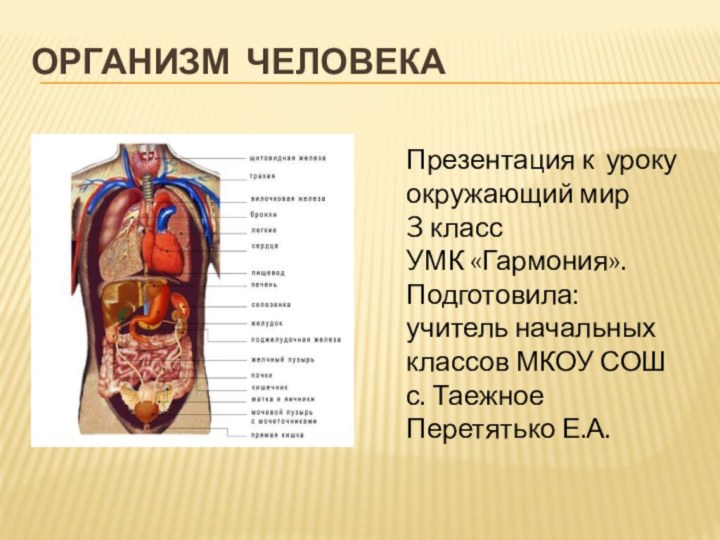 Организм человекаПрезентация к уроку окружающий мир 3 класс УМК «Гармония».Подготовила: учитель начальных