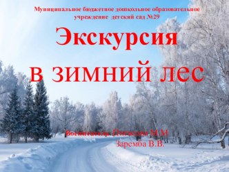 Экскурсия в зимний лес презентация к уроку по окружающему миру (средняя группа)