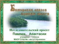 Бажовских сказов дивные места - исследовательский проект проект