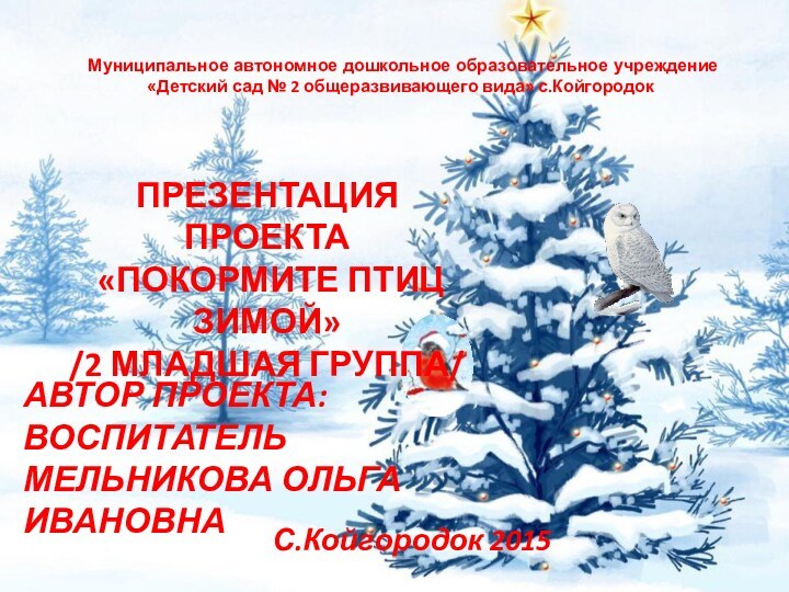 Муниципальное автономное дошкольное образовательное учреждение  «Детский сад № 2 общеразвивающего вида»