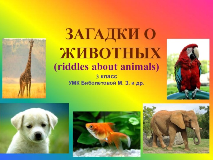 ЗАГАДКИ О ЖИВОТНЫХ(riddles about animals) 3 класс  УМК Биболетовой М. З. и др.