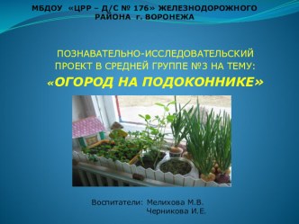 Презентация.Огород на подоконнике. презентация к уроку по окружающему миру (подготовительная группа)