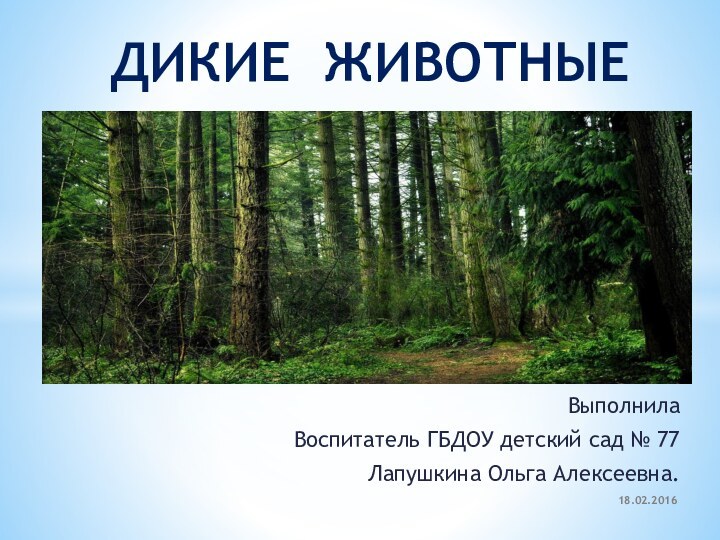 Выполнила Воспитатель ГБДОУ детский сад № 77Лапушкина Ольга Алексеевна.ДИКИЕ ЖИВОТНЫЕ