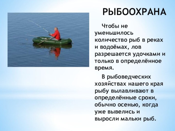 Чтобы не уменьшилось количество рыб в реках и водоёмах, лов разрешается удочками