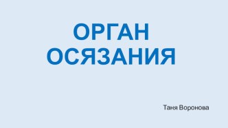 Презентация к уроку по теме Органы обоняния 4 класс