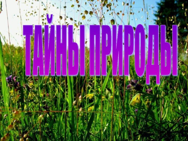 ТАЙНЫ ПРИРОДЫ