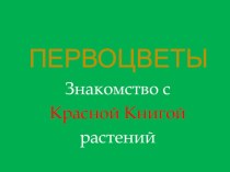 ПрезентацияПервоцветы презентация