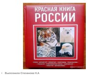 Презентация Красная книга презентация к уроку по окружающему миру (старшая группа) по теме