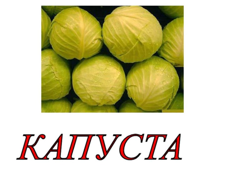 КАПУСТА