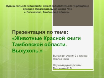 Презентация. Животные Красной книги Тамбовской области. Выхухоль. презентация к уроку по окружающему миру (2 класс) по теме